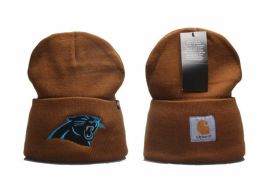 Picture of Carolina Panthers Beanies _SKUfw49924453fw